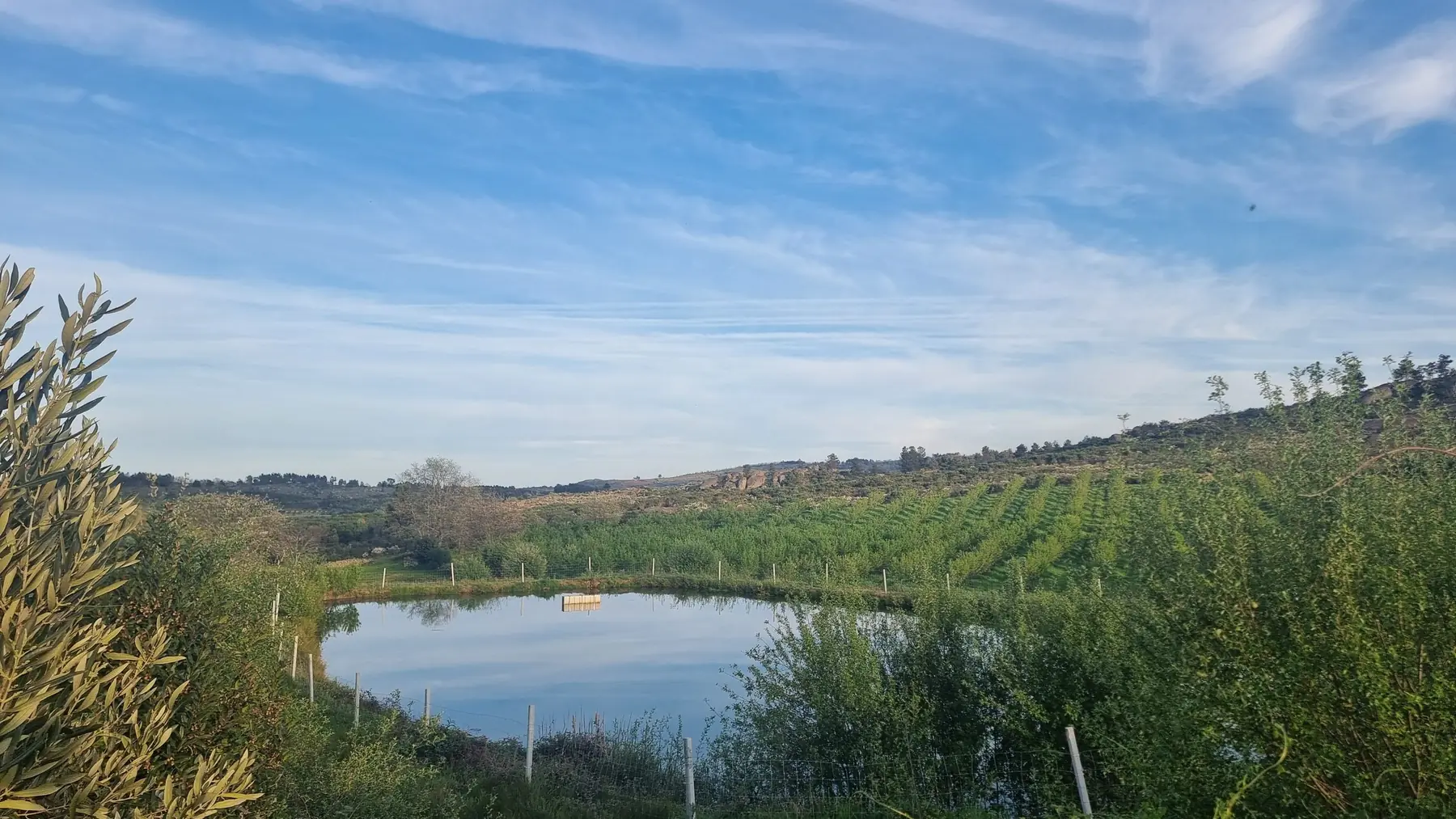 Uma charca agrícola com água, entre pomares nas encostas em redor.