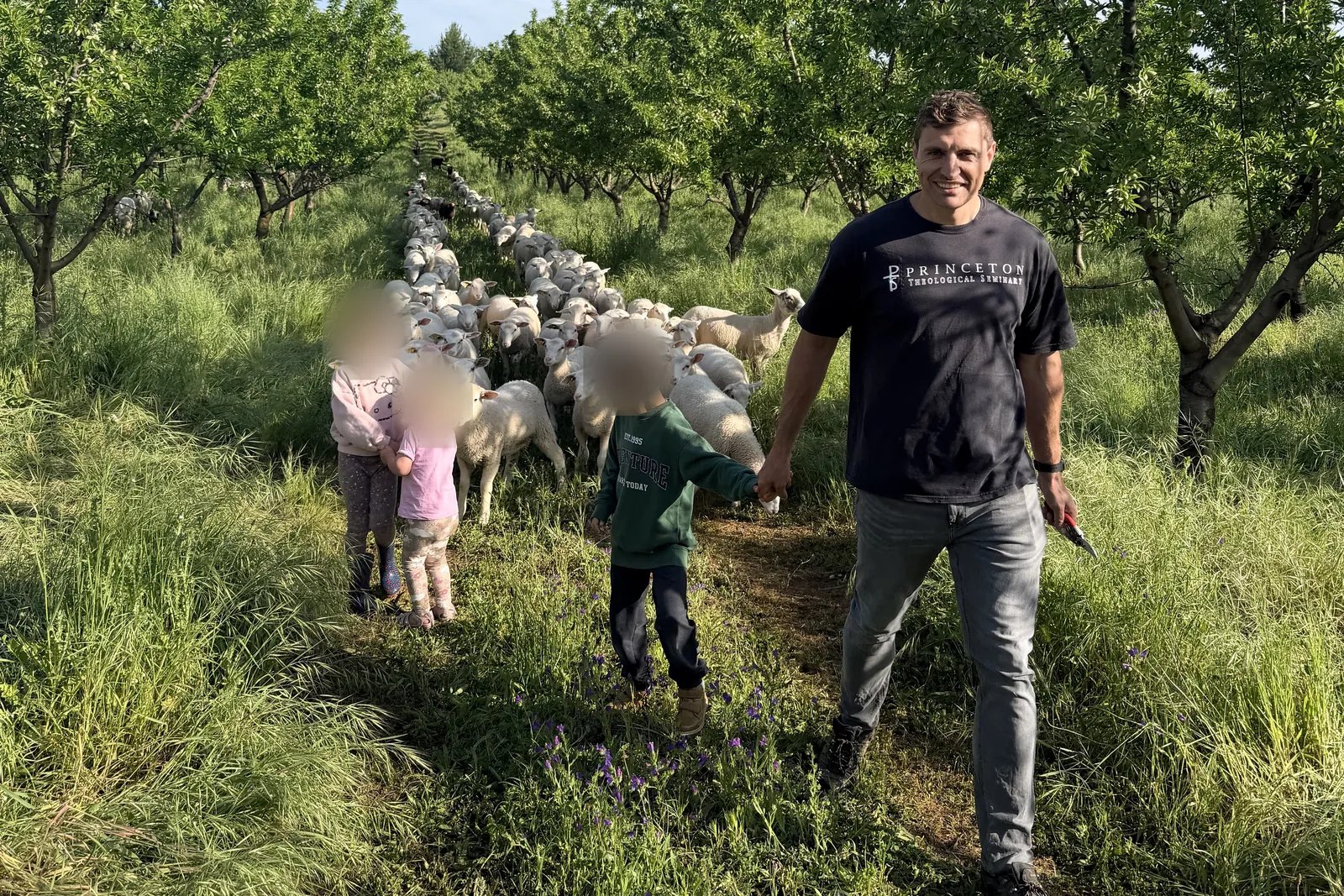 Jacques a caminhar num amendoal com a família, com o rebanho de ovelhas atrás.